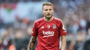 Mehmet Demirkol: Immobile, Immobile’dir