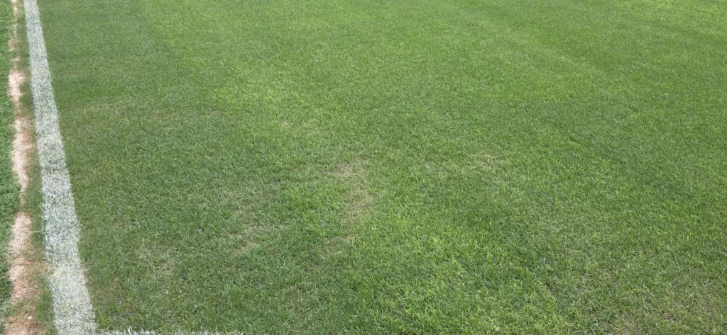 Tüpraş Stadyumu zeminindeki son durum Tüpraş Stadyumu zemininde son durum