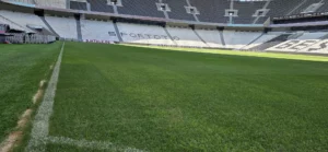 Tüpraş Stadyumu zeminindeki son durum